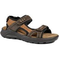 Pavers Men's Dual Fasten Comfort Sandals in Brown | Size: 10