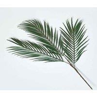 Homescapes Tropical Palm Leaf Single Stem 68 cm in Green