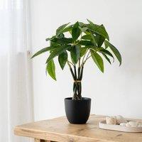 Scottish Everlastings Ltd 45cm Real Touch Fortune Tree in Green