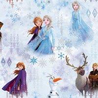 Frozen II Wonder Wallpaper in Blue