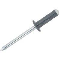 JRP Riveting Products 4.8 x 15mm Dome Head Rivets - Box of 500 in Dark Grey