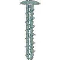 JCP CONSTRUCTION PRODUCTS Ankerbolts Pan Head Bzp - 6/8 x 50mm - Box of 100 in Silver