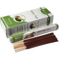 KDMD Aromatika White Sage Charcoal-Free Hex Incense - Purify & Relax in Brown