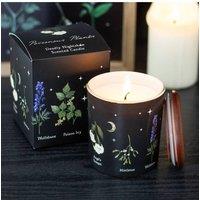 KDMD Deadly Nightshade Scented Candle - Gothic Poison Plant Gift in Black