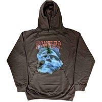 Pantera Far Beyond Driven World Tour Hoodie in Grey | Size: Small