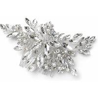 Lemon Daisy Accessories Women's Evangeline Clip in Silver