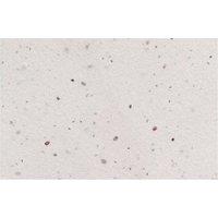 MidOcean Asida Wildflower Plant-Based Business Card in White