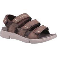 Hush Puppies Men's 'Raul' Sandal Summer in Brown | Size: 8