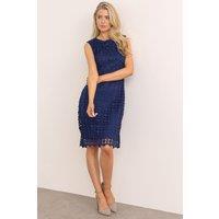 Klass. Women's Fitted Lace Shift Dress in Midnight | Size: 22