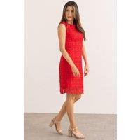 Klass. Women's Fitted Lace Shift Dress in Scarlet | Size: 20