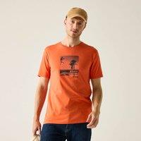 Regatta Men's Cline IX Short Sleeved Graphic T-Shirt in Orange | Size: Small