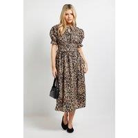 Dorothy Perkins Women's Leopard Tie Front Frill Sleeve Printed Poplin Midi Dress | Size: 14