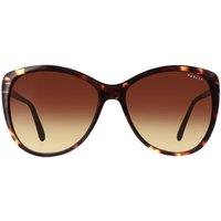 Radley Women's Cat Eye Havana Brown Gradient Gwyneth
