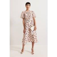Phase Eight Women's Nicola Ruffle-Front Midi Dress in Pale Pink | Size: 20