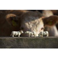 Britains Simmenta/Charolais Cows