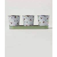 Homescapes Set of 3 Indoor Plant Pots with Floral Bee Design in Green