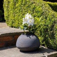 Primrose Brown Cement Low Brimmed Textured Round Vase Planter 31cm in Grey