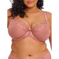 Elomi Women's Teagan Plunge Bra in Pink | Size: 36G