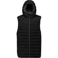 Proact Men's Hooded Padded Bodywarmer in Black | Size: Small