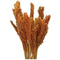 KDMD Vibrant Cantal Grass Bunch -Dried Orange Floral Decor & Craft Material