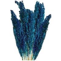 KDMD Vibrant Cantal Grass Bunch - Dried & Coloured Floral Decor (50cm) in Blue