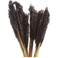 KDMD Vibrant Cantal Grass Bunch - Dried & Coloured Floral Decor, 50cm in Black