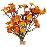 KDMD Vibrant Orange Daisy Bunch for Natural Floral Displays