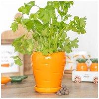 KDMD Carrot-Shaped Plant Pot with Parsley Seed Balls - Grow Fresh Herbs in Orange