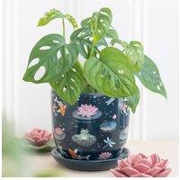 KDMD Pond Print Plant Pot with Saucer - Frog & Koi Design for Houseplants in Blue