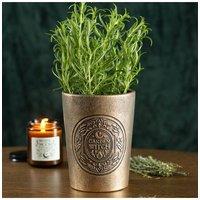 KDMD Garden Witch Bronze Effect Terracotta Plant Pot for Herbs & Succulents