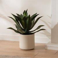 Scottish Everlastings Ltd 57cm Oversized Agave in Green