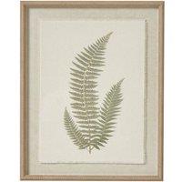 KDMD Fern Art On Texture-Torn Paper With Beaded Frame in Brown