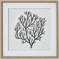 KDMD Coral Art in Beaded Wooden Frame - Coastal Wall Decor in Brown