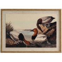 KDMD Flora & Fauna Pochards on Linen with Beaded Frame Wall Art in Brown