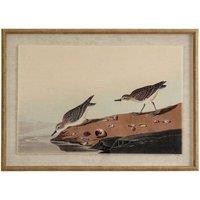 KDMD Flora & Fauna Linen Art with Beaded Frame - Elegant Wall Decor in Brown