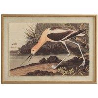 KDMD Flora & Fauna Avocet on Linen Beaded Frame Botanical Art in Brown