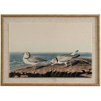 KDMD Flora & Fauna Plovers on Linen Wall Art with Beaded Frame in Brown