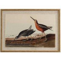 KDMD Flora & Fauna Snipes on Linen Wall Art with Beaded Frame in Brown