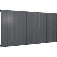 Bathroom Kingdom Casina Anthracite Single Flat Panel Horizontal Radiator 600x1230 in Grey
