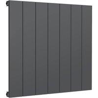 Bathroom Kingdom Casina Anthracite Single Flat Panel Horizontal Radiator 600x660 in Grey