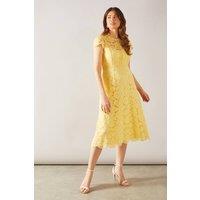 Wallis Women's Lace Fit & Flare Midi Dress in Lemon | Size: 20