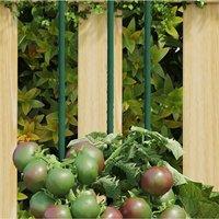 Berkfield Home Garden Plant Stakes 30 pcs Green 180 cm Steel
