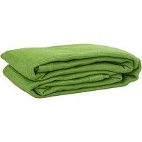 Berkfield Home Tent Carpet Light Green 250x400 cm HDPE