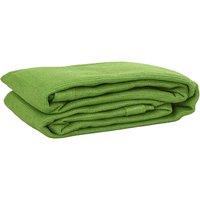 Berkfield Home Tent Carpet Light Green 250x300 cm HDPE