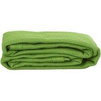Berkfield Home Tent Carpet Light Green 250x400 cm HDPE