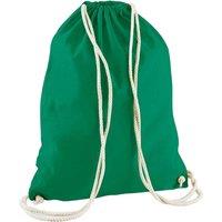 Westford Mill Men's Cotton Drawstring Bag in Green