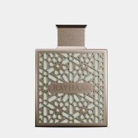 Rayhaan Men's Terra Eau De Parfum in Misc | Size: 100ml