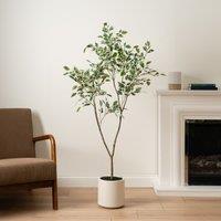 Scottish Everlastings Ltd 150cm Real Touch Ficus Tree KD in Green