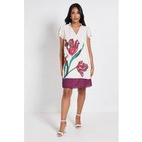 Wallis Women's Petite Floral Stripe Ruffle Neck Shift Dress in Ivory | Size: 12