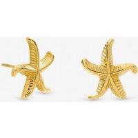 Jon Richard Women's Gold Plated Waterproof Coastal Starfish Earrings
